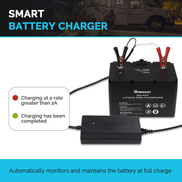Member Price 20A 240V AC to DC Lithium Iron Phosphate Battery Charger