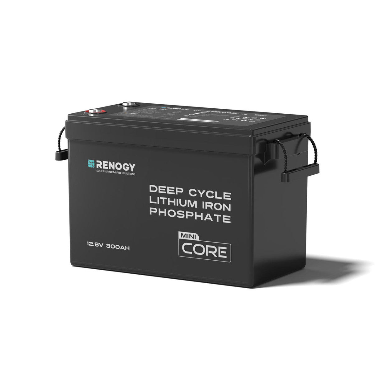 3,84 kWh Caravan Power Kit | 2000 W Omvormer en 50A Acculader