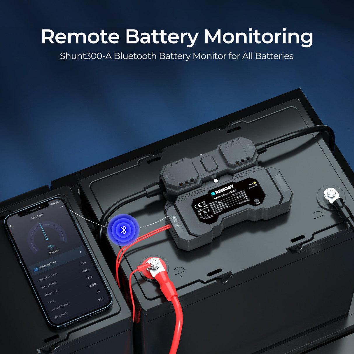 RENOGY Accu Shunt 300