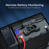 RENOGY Accu Shunt 300