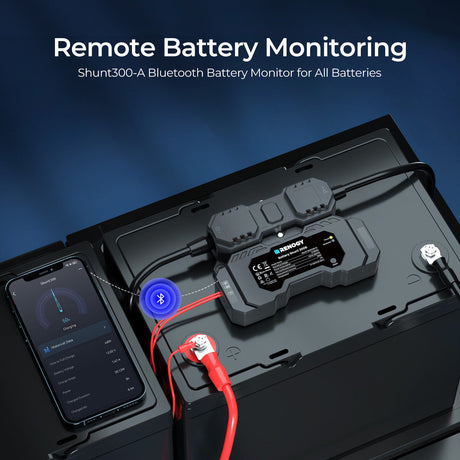 RENOGY Accu Shunt 300