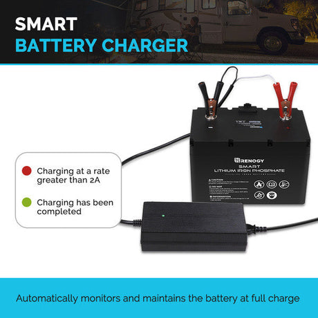 Member Price  20A 240V AC to DC Lithium Iron Phosphate Battery Charger