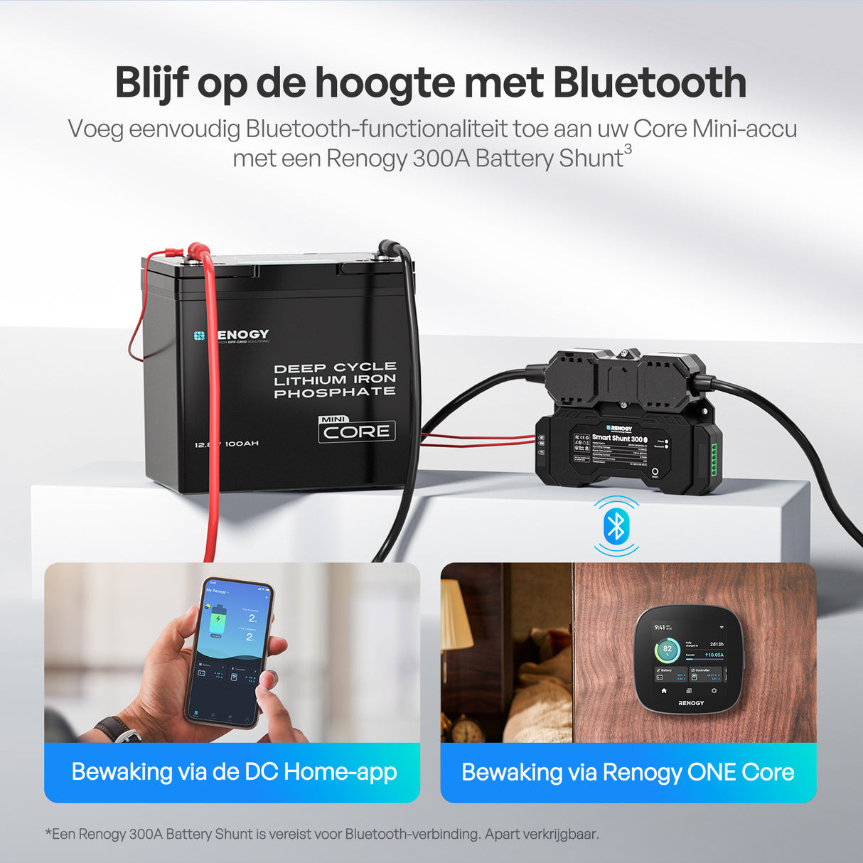 Core Mini — LiFePO₄ 12,8 V 100 Ah Batterij