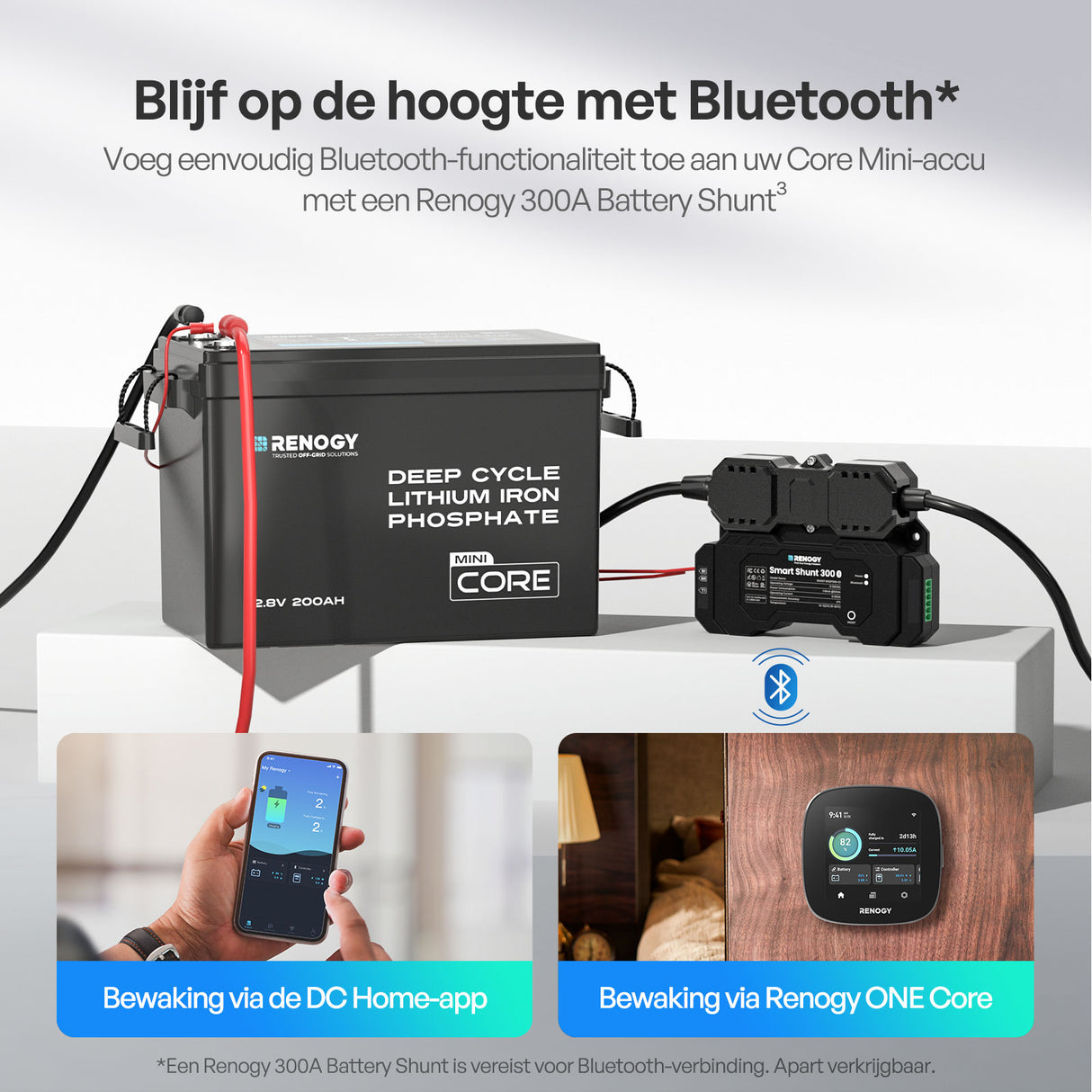 Core Mini 12,8V 200Ah LiFePO4 Batterij met Lage-Temperatuur